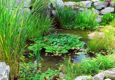 article image -